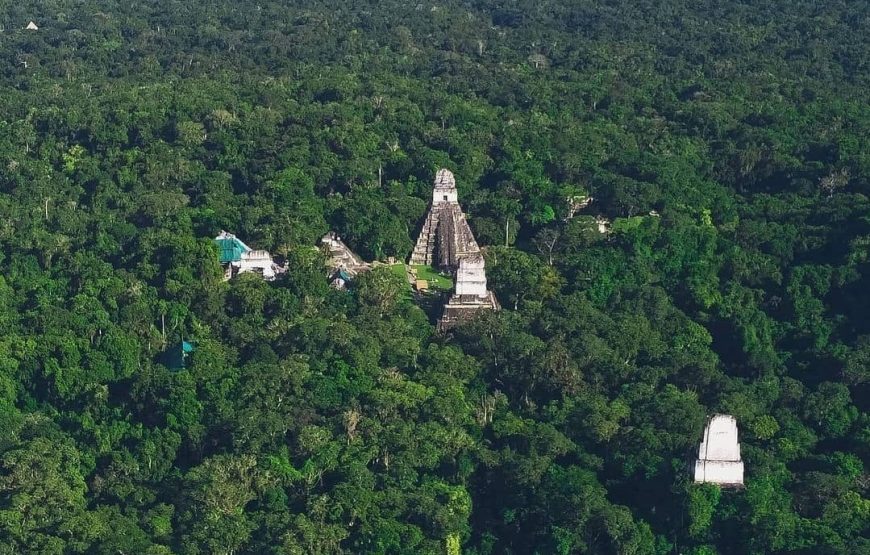 Discover Tikal by air on a 2-day & 1-night Tour from Guatemala City