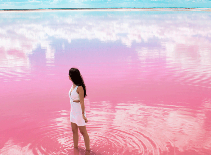 Visit the Pink Lagoons of Las Coloradas + Ria Lagartos