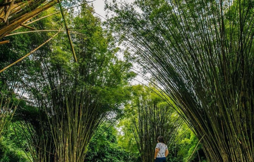 Cayos Cochinos + Lancetilla Botanical Garden – Private 2 days Tour from La Ceiba