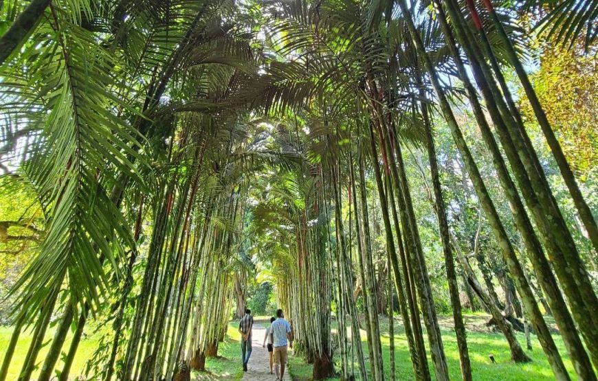 Cayos Cochinos + Lancetilla Botanical Garden – Private 2 days Tour from La Ceiba