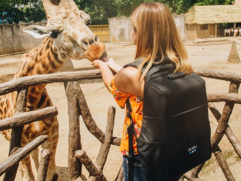 Feed The Zoo Animals Yourself: Interactive Experience – Half Day Tour with Lunch