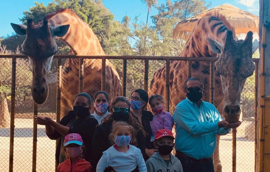 Feed The Zoo Animals Yourself: Interactive Experience – Half Day Tour with Lunch
